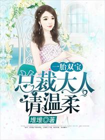 一胎双宝:总裁大人请温柔 一胎双宝:总裁大人请温柔