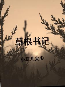 草根书记 草根书记