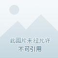 这应该是一个求生游戏 这应该是一个求生游戏