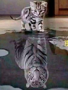 重生之远见 重生之远见