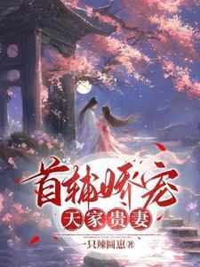 昭华倾天下 昭华倾天下