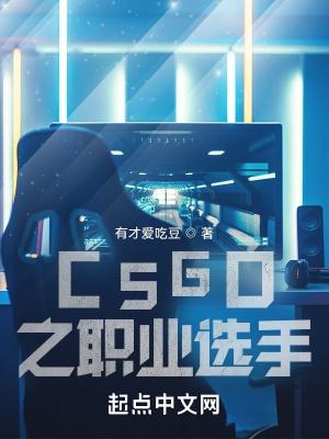 CSGO之职业选手 CSGO之职业选手